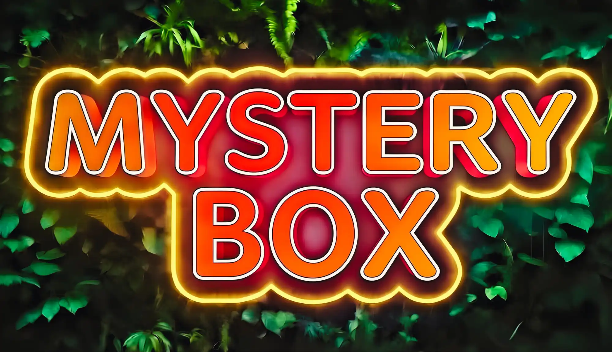 Mystery Boxen